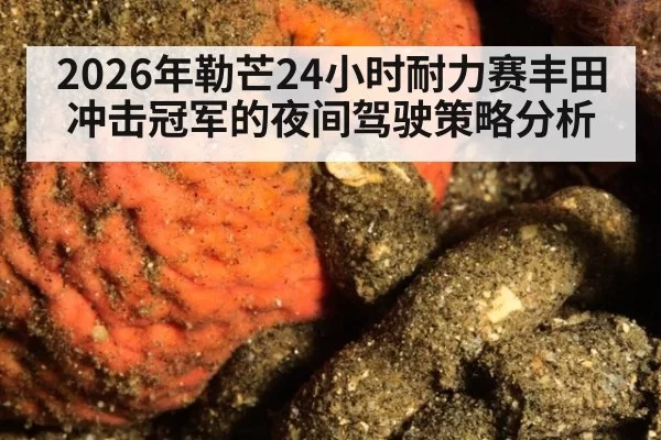 2026年勒芒24小时耐力赛丰田冲击冠军的夜间驾驶策略分析